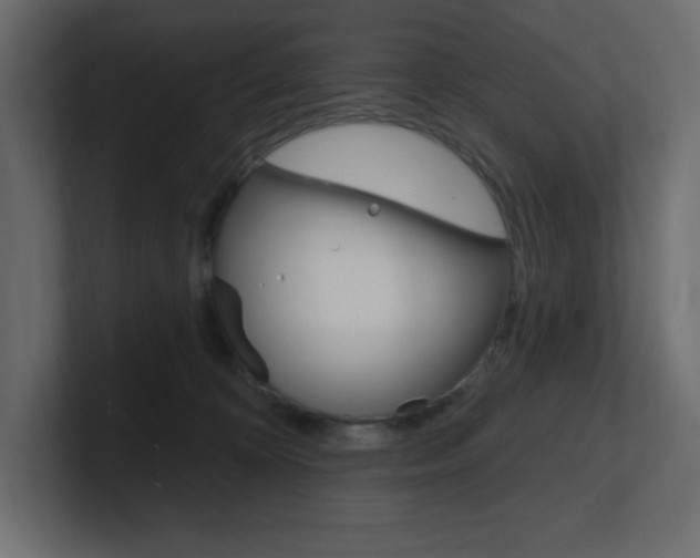 X0000101090324200806261107