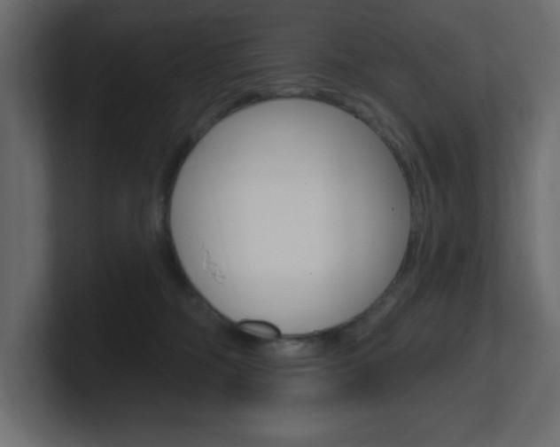 X0000101090326200806261107