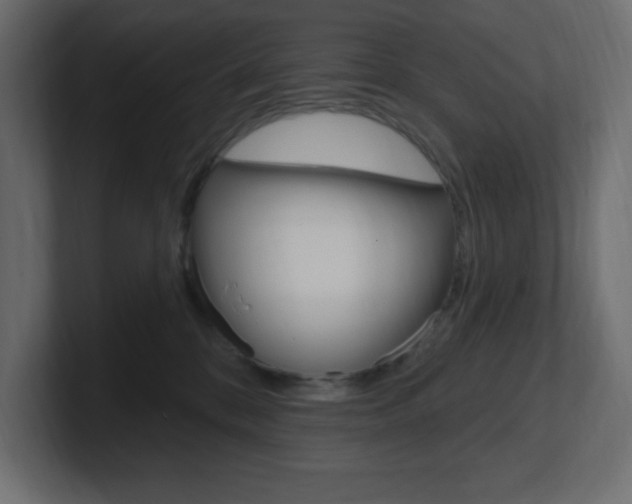 X0000101090328200806261107