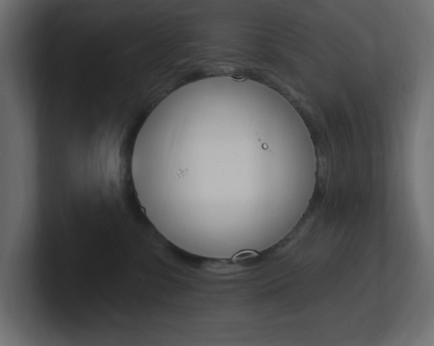 X0000101090331200806261107