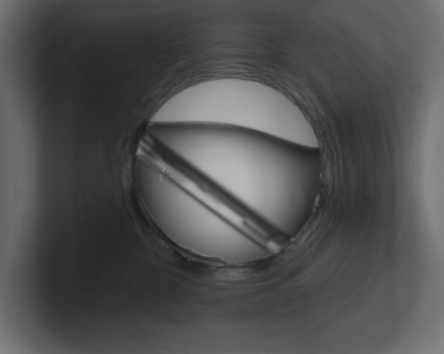 X0000101090332200806261107