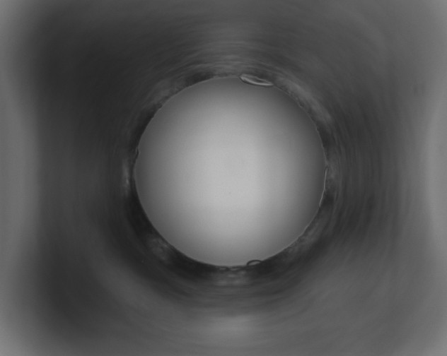 X0000101090333200806261107