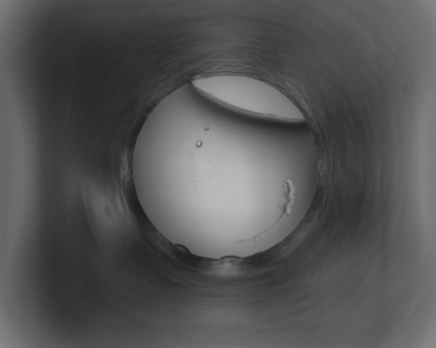 X0000101090335200806261107