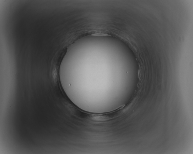 X0000101090336200806261107