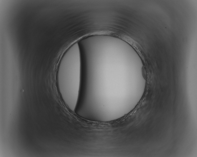 X0000101090337200806261106