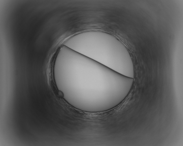 X0000101090339200806261106