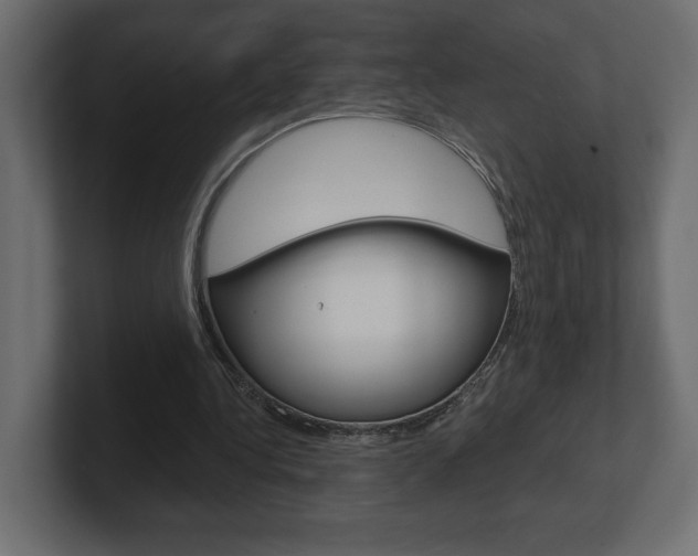 X0000101090340200806261107