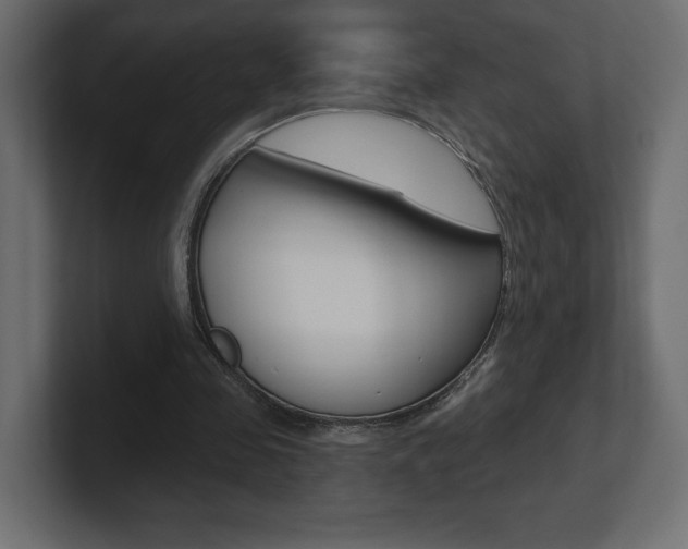 X0000101090341200806261107