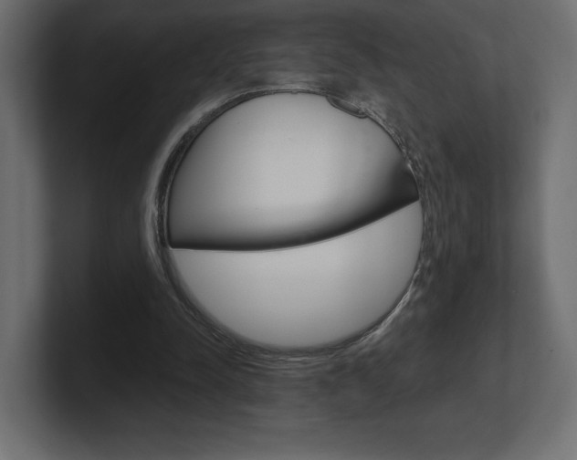 X0000101090342200806261107