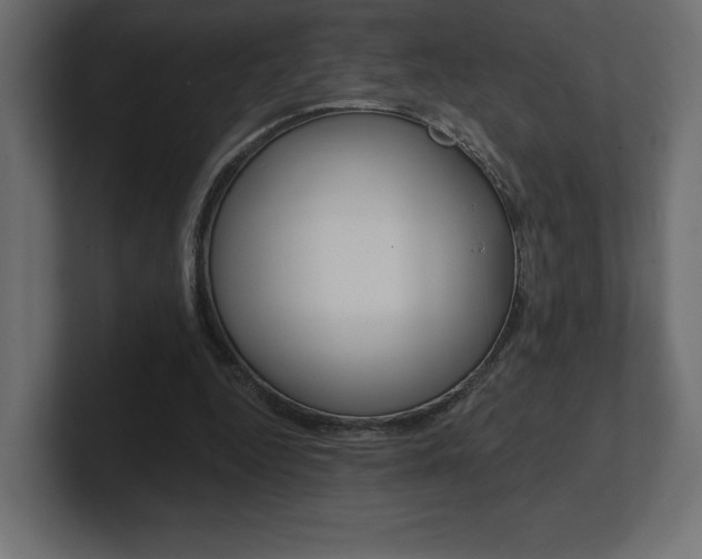 X0000101090344200806261107