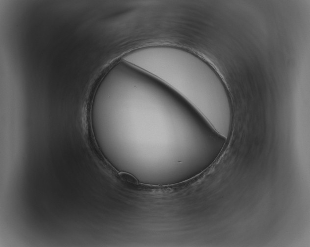 X0000101090345200806261107