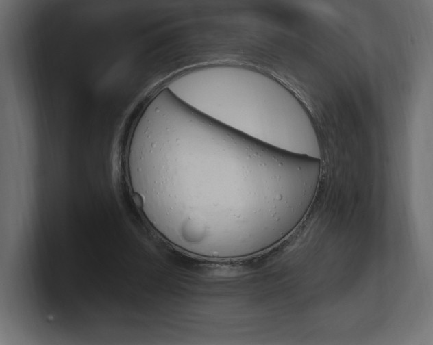 X0000101090347200806261107