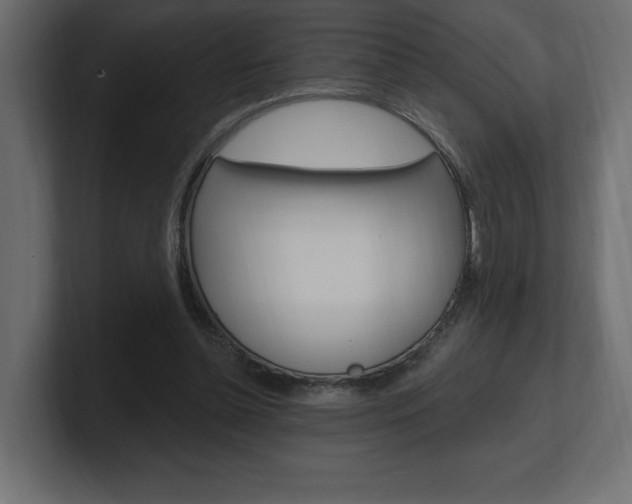 X0000101090348200806261107