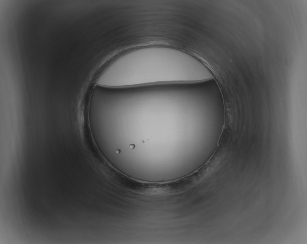 X0000101090350200806261107