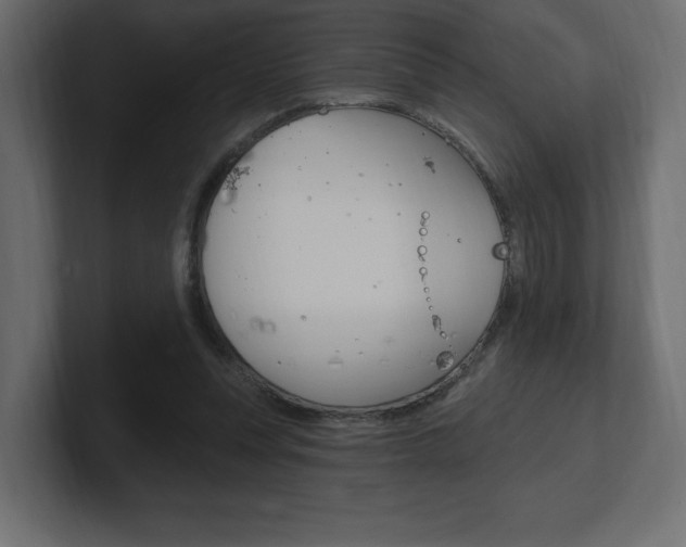 X0000101090351200806261107