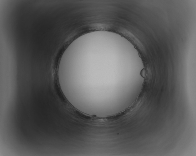 X0000101090355200806261107