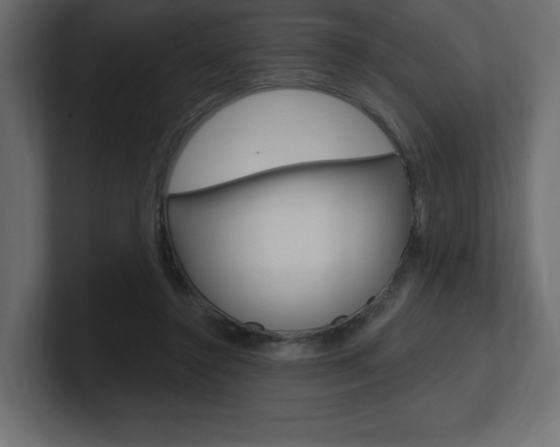 X0000101090356200806261107