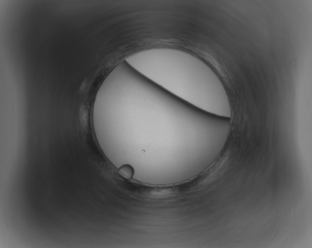 X0000101090357200806261107