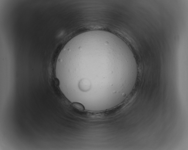 X0000101090359200806261107