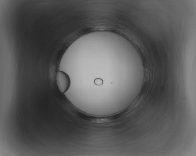 X0000101090361200806261107