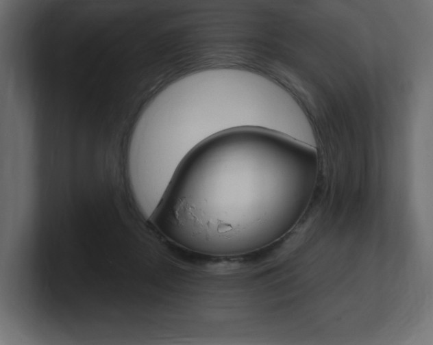 X0000101090362200806261107