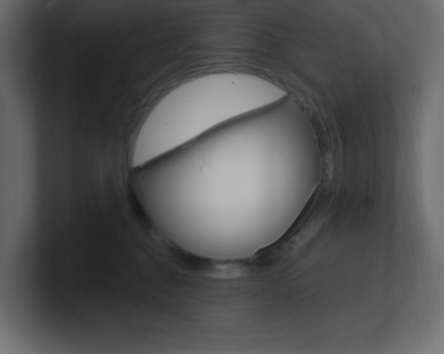 X0000101090376200806261107