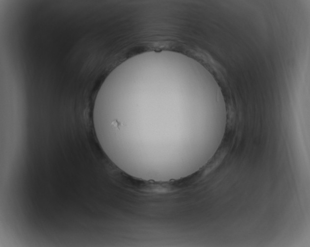 X0000101090377200806261107