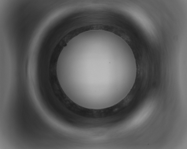 X0000101090383200806261107