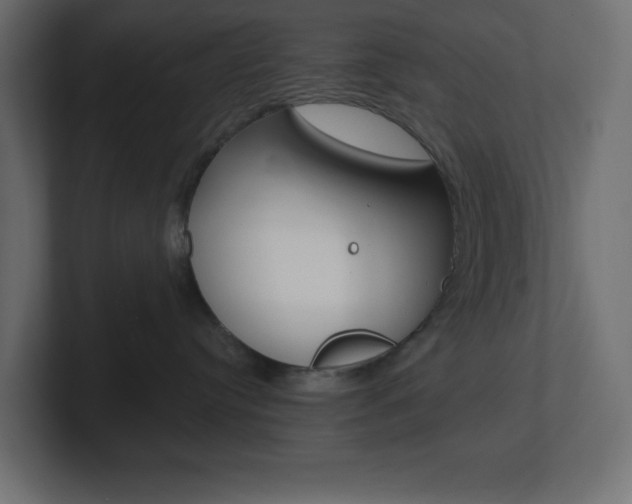 X0000101090384200806261107