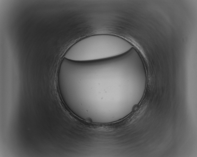 X0000101090385200806261106