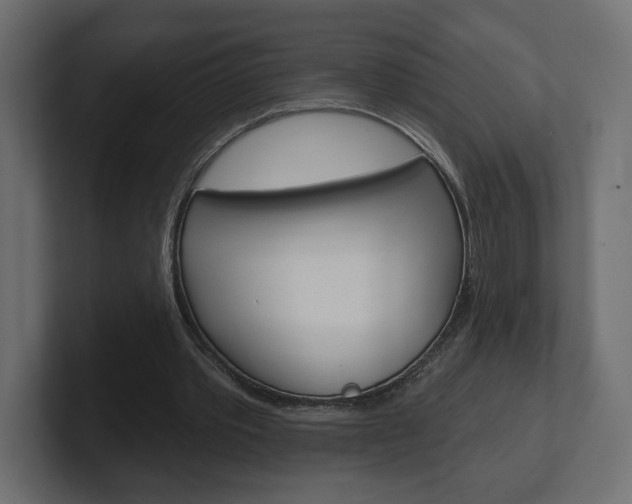 X0000101090389200806261106