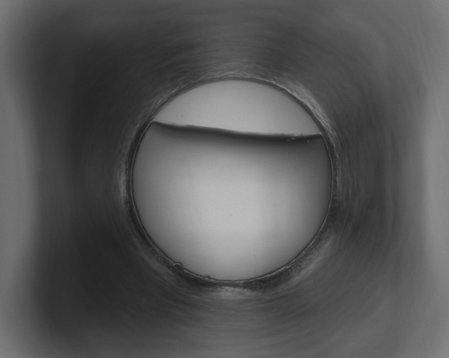 X0000101090393200806261106