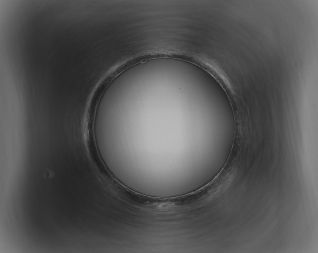 X0000101090395200806261106