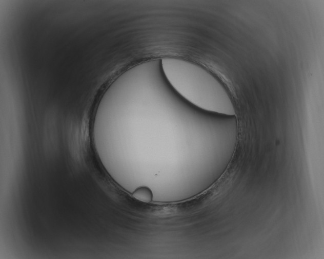 X0000101090398200806261106