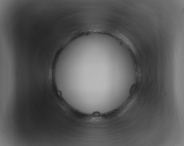 X0000101090401200806261106