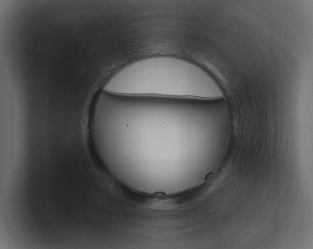 X0000101090403200806261106