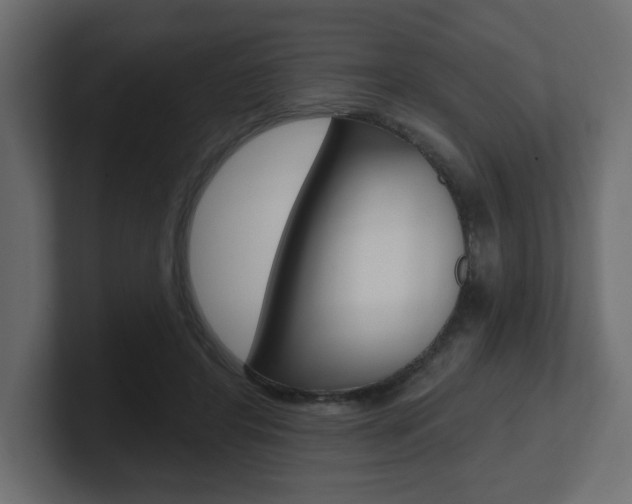 X0000101090404200806261106