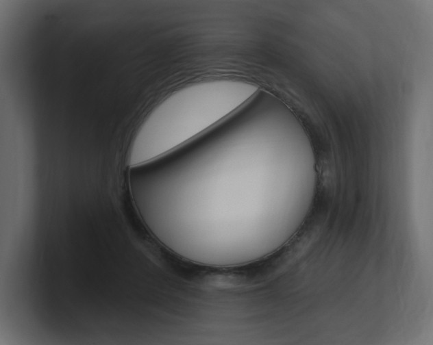 X0000101090408200806261106