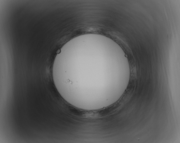 X0000101090415200806261106