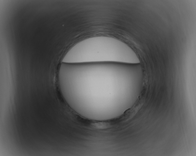 X0000101090417200806261106