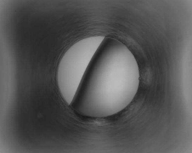 X0000101090420200806261106