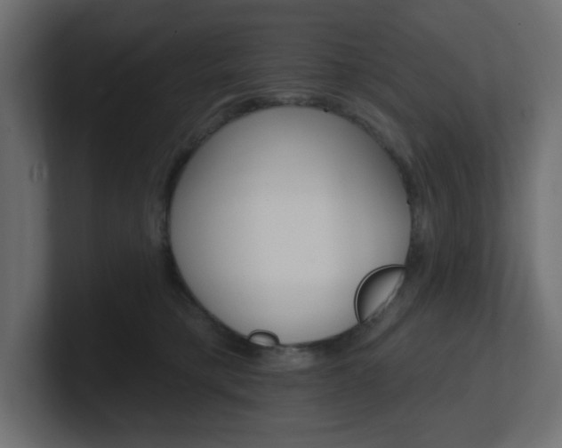 X0000101090421200806261106