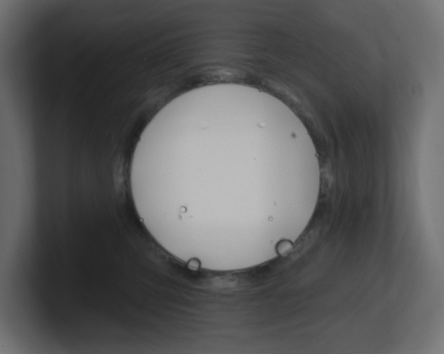 X0000101090423200806261106