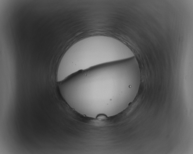 X0000101090425200806261106