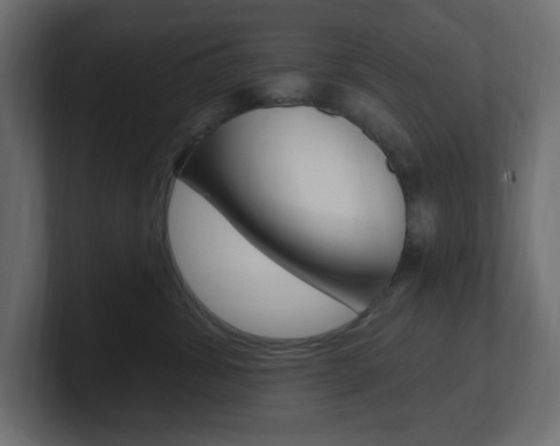 X0000101090428200806261106