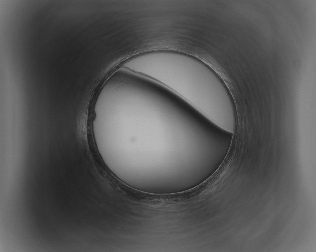 X0000101090434200806261105