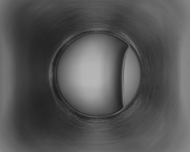 X0000101090435200806261105