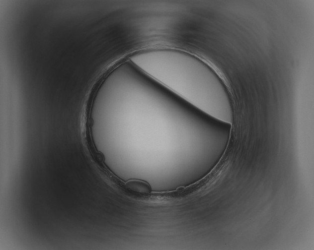 X0000101090437200806261105