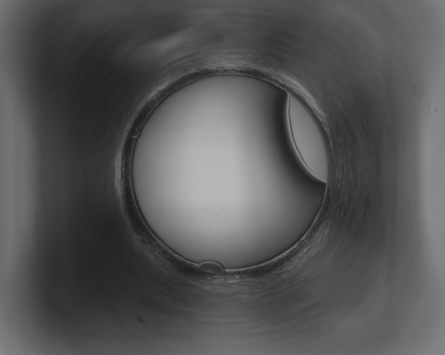X0000101090439200806261105
