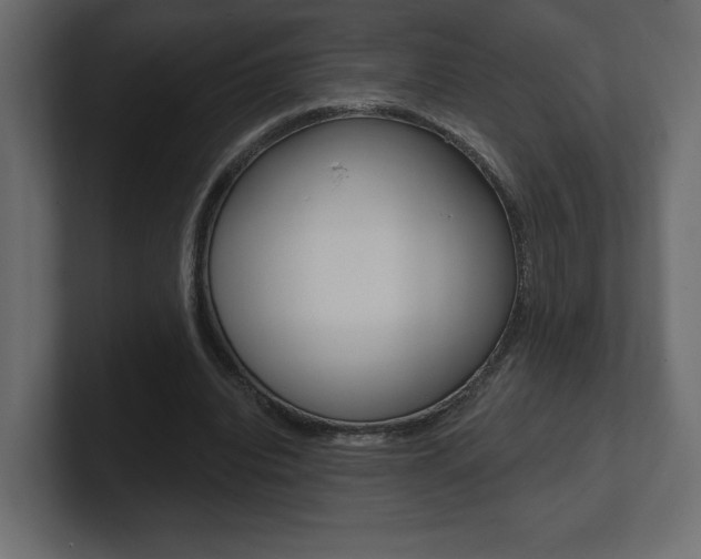 X0000101090440200806261105